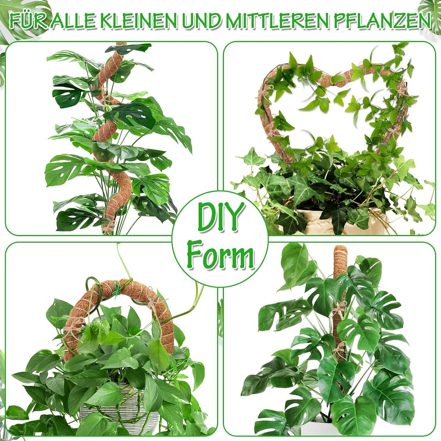 18-teiliges Pflanzenstab Set