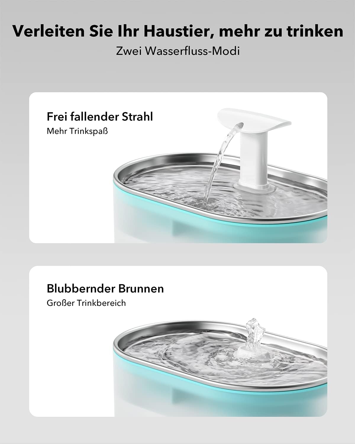 Katzenbrunnen Capsule