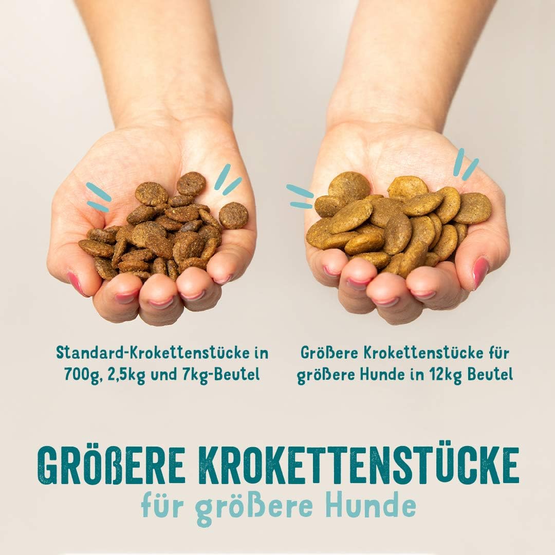 Hundefutter trocken