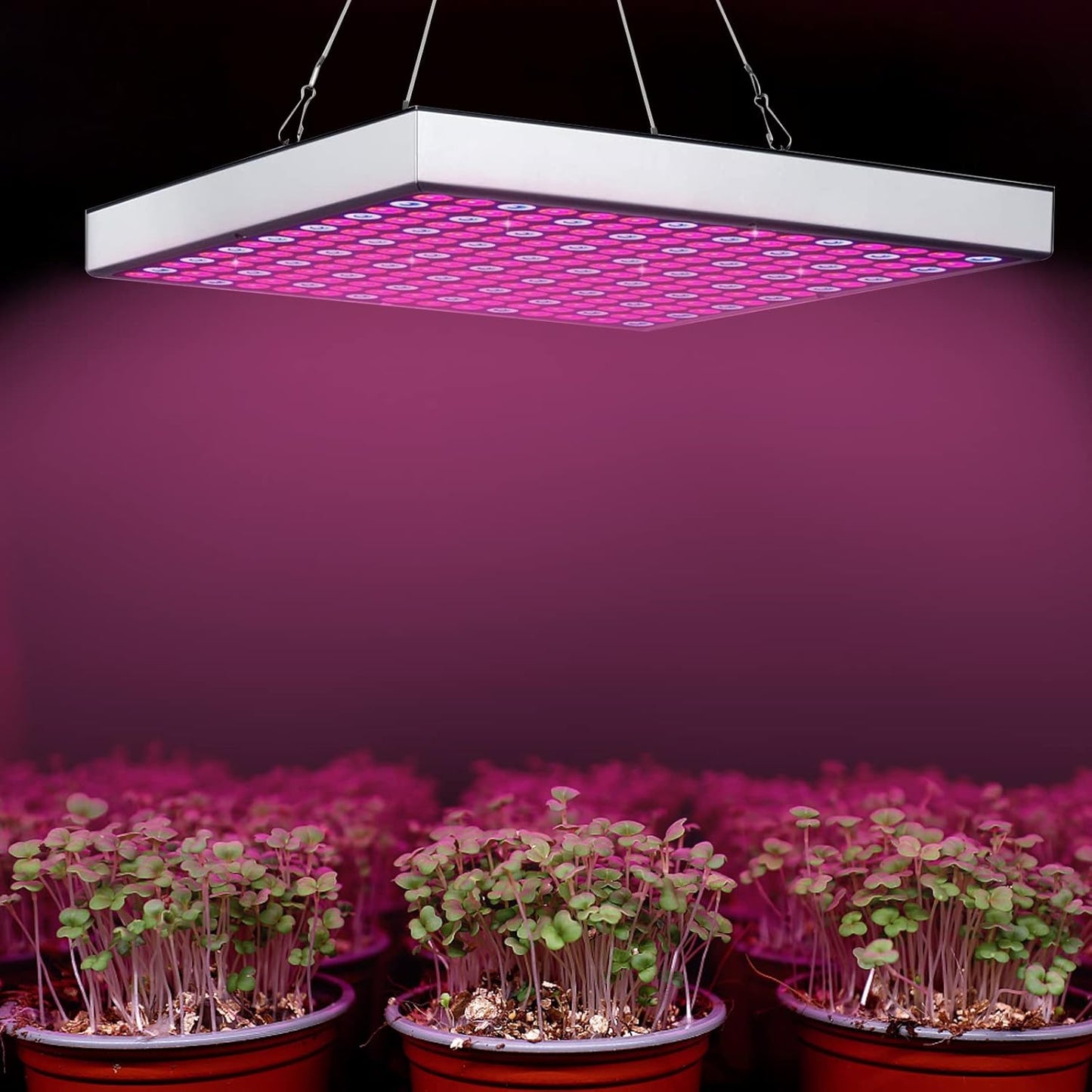 LED-Pflanzenlampe, 1x 45W