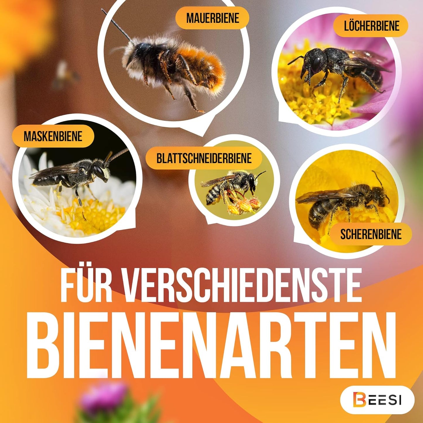 Bambusröhrchen für Insektenhotel, 300 Stück, Bambus - Stück