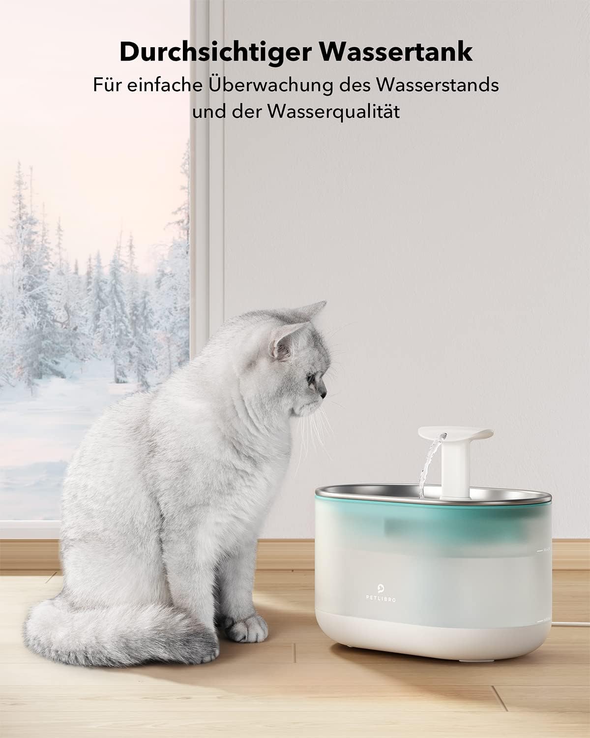 Katzenbrunnen Capsule