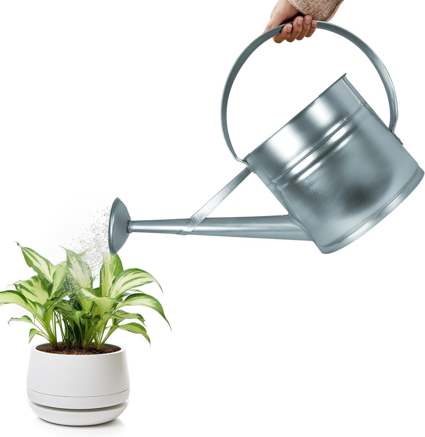 Zinkgiesskanne mit Giessbrause (10 L), Silber 10 Liter