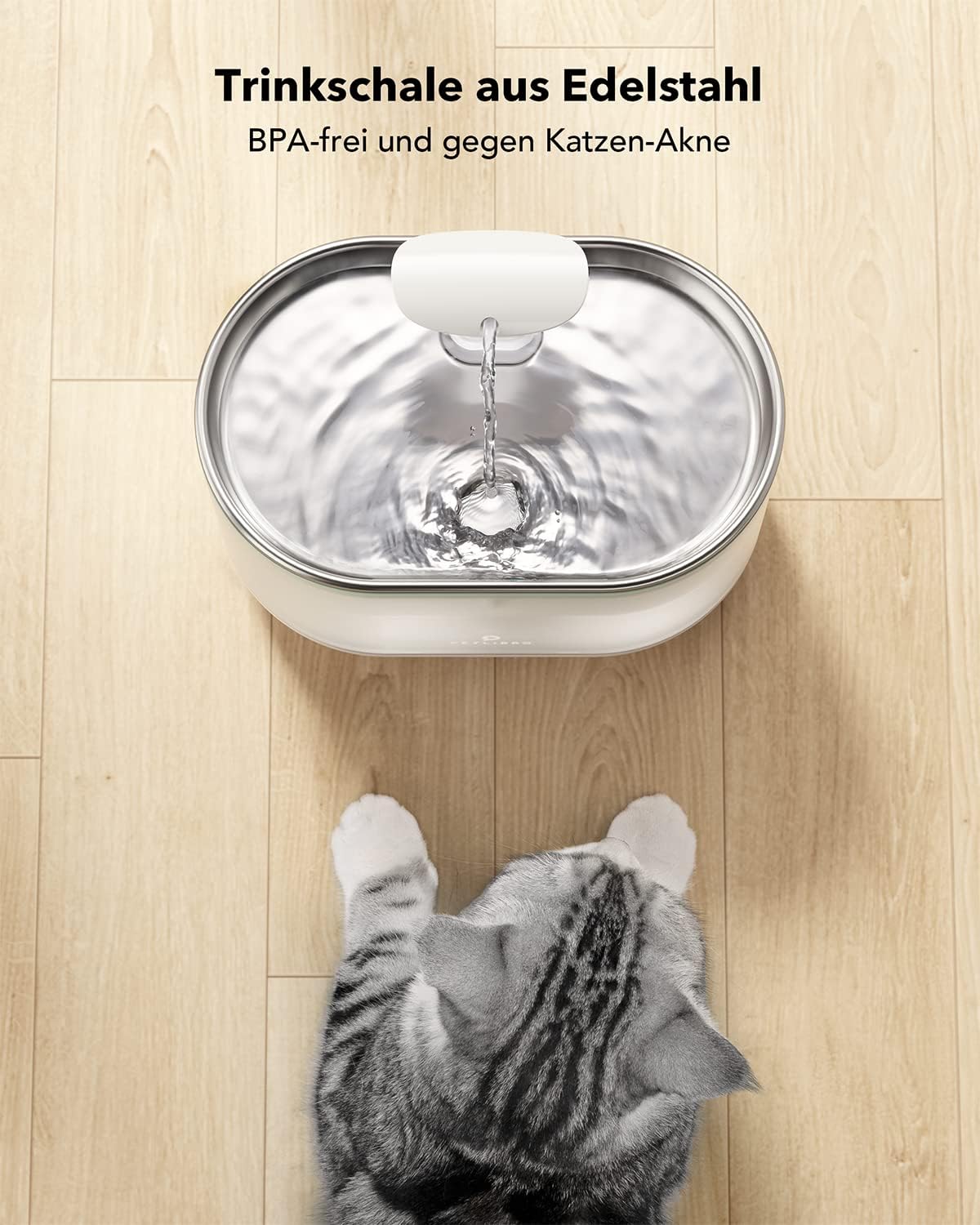 Katzenbrunnen Capsule