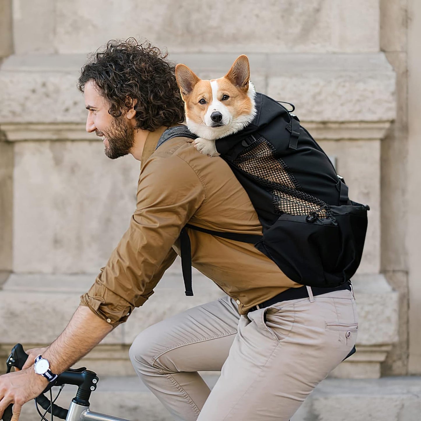 Hundetragerucksack für Outdoor-Aktivitäten (Grösse L), L Schwarz