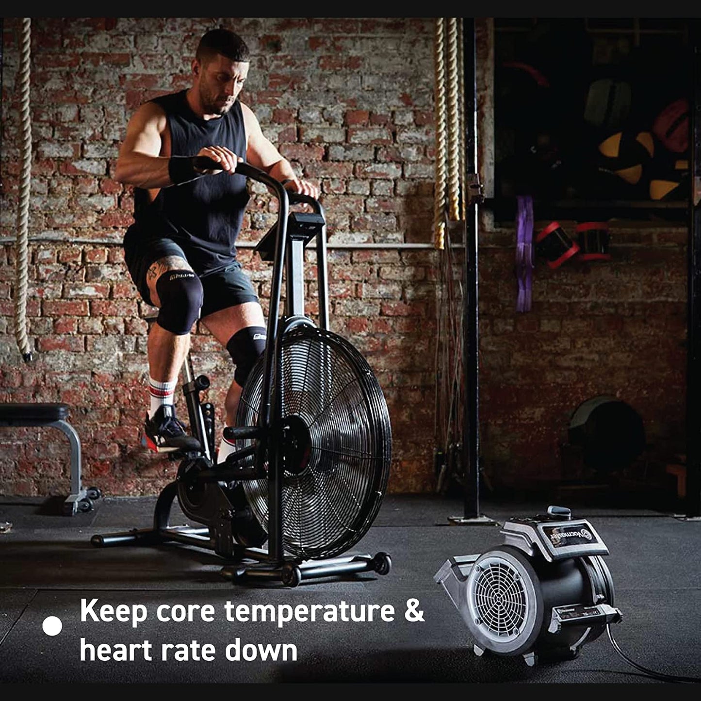 Cardio54