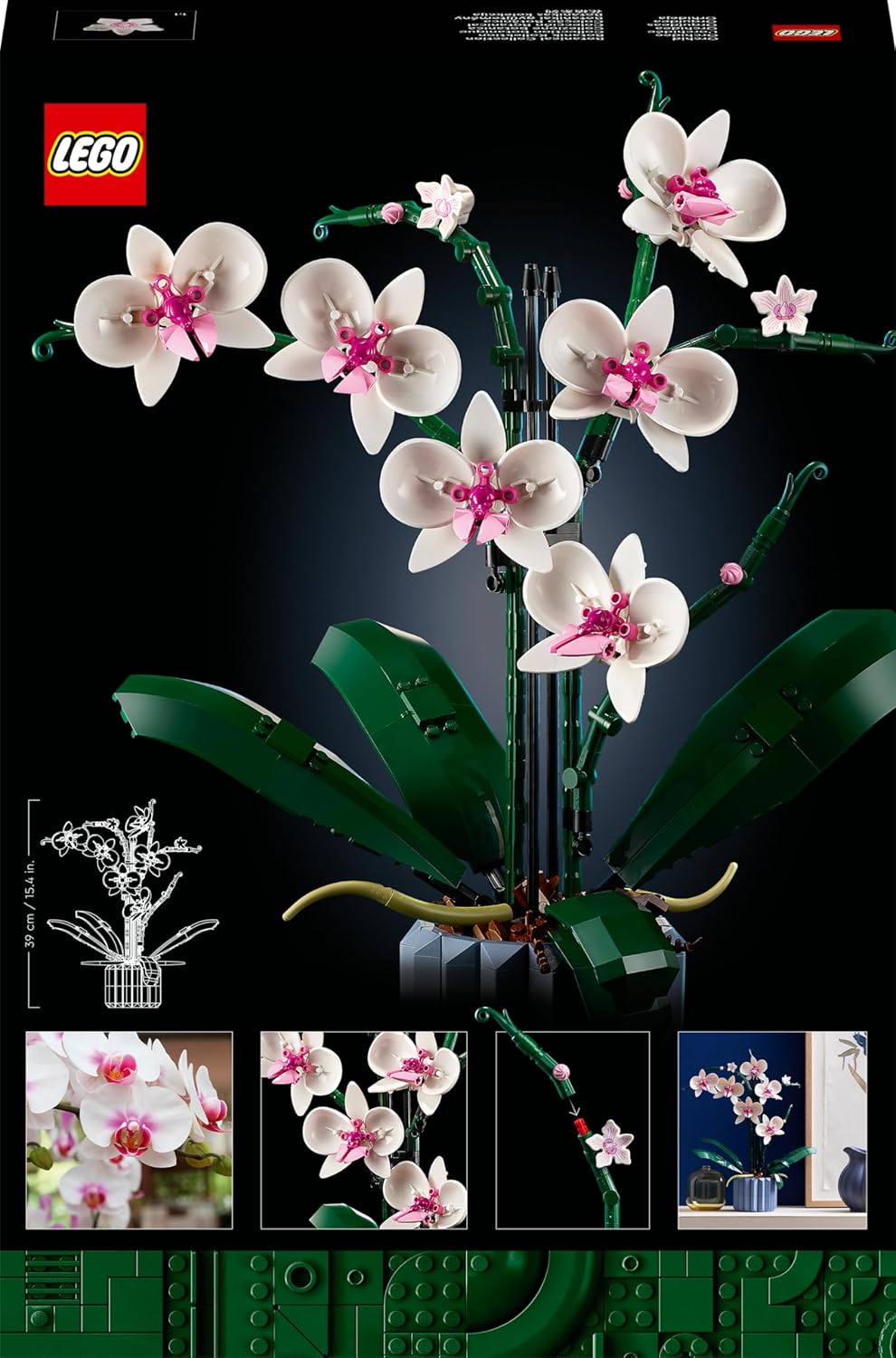 Orchidee, Single