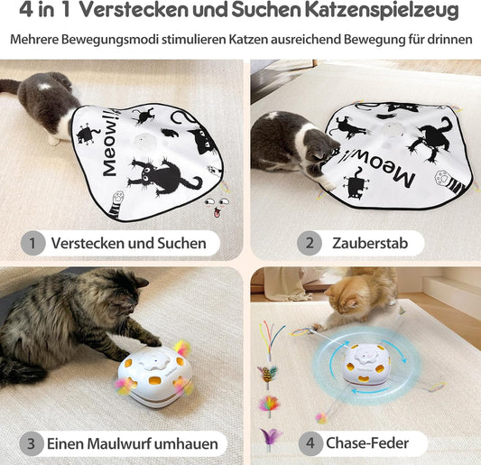 Interaktives 4-in-1 Katzenspielzeug, Schwarzer Miau