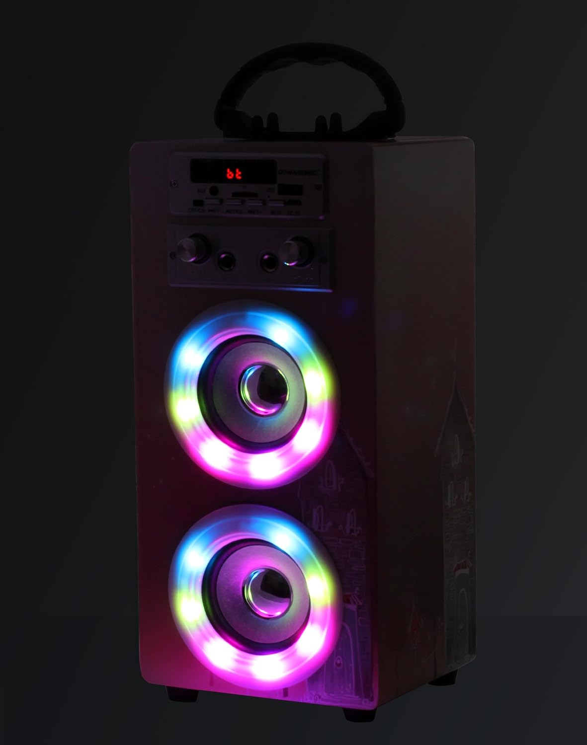 Tragbare Karaoke-Maschine mit 2 Mikrofonen