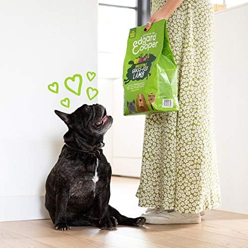 Hundefutter trocken