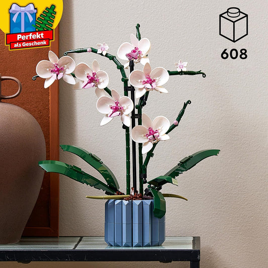 Orchidee, Single