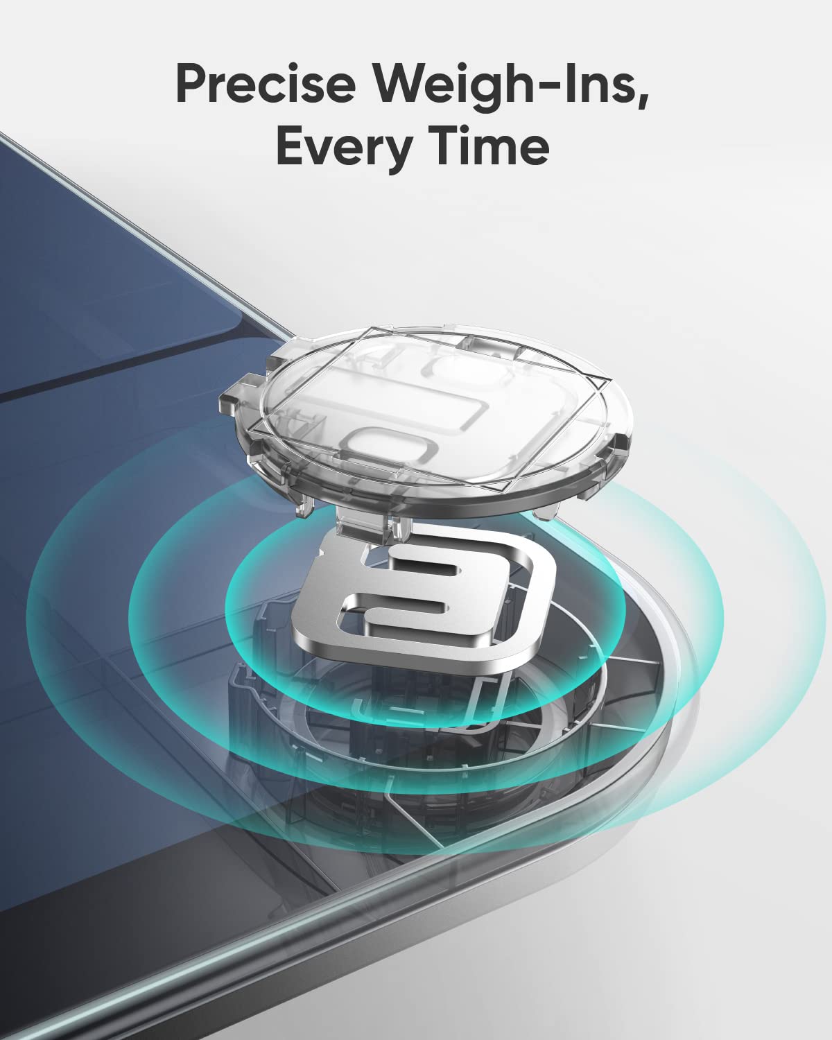 Smart Scale P3, Smart Scale P3