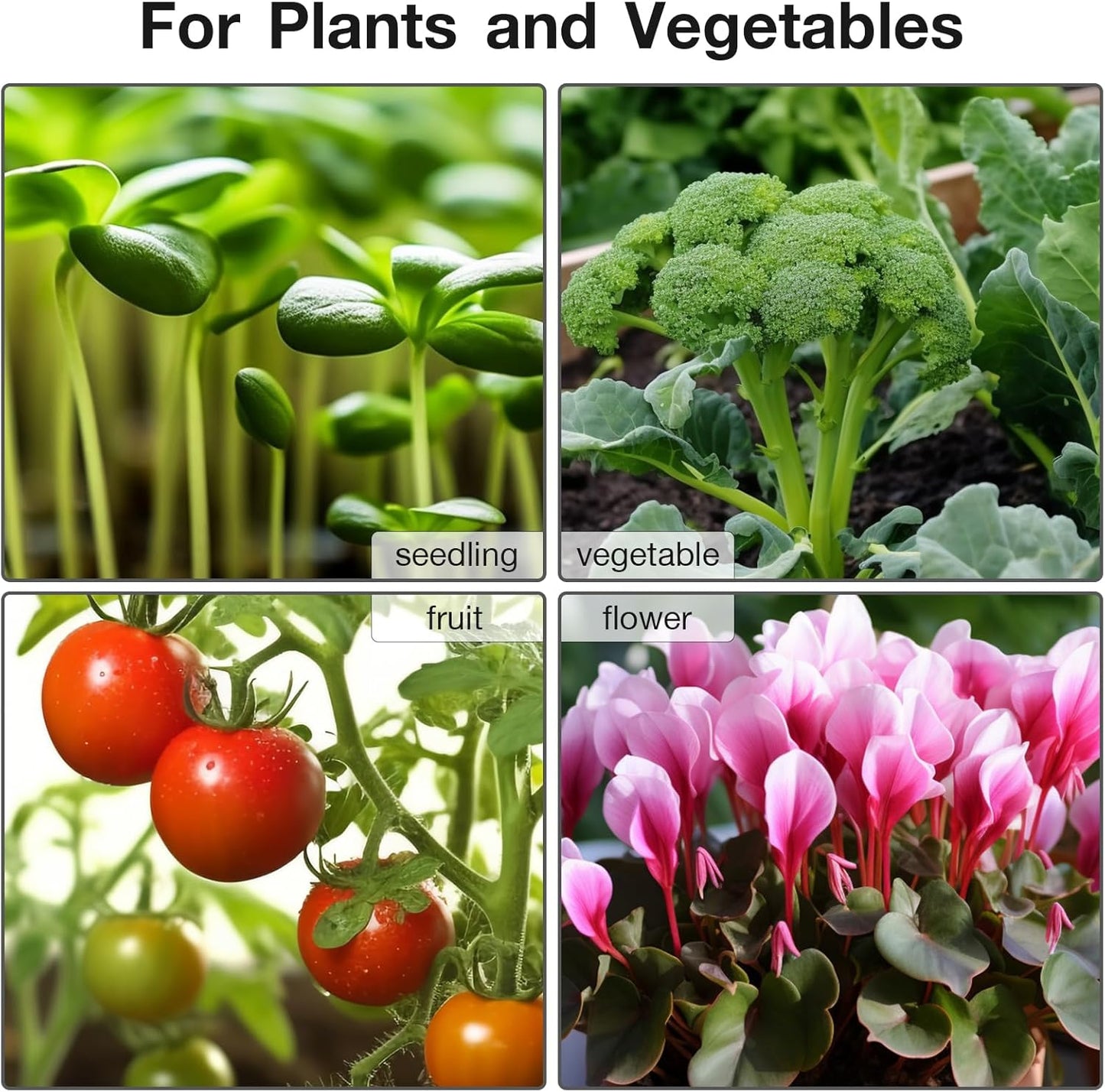 Heizmatte mit Thermostat, 25x52cm - 1er Pack