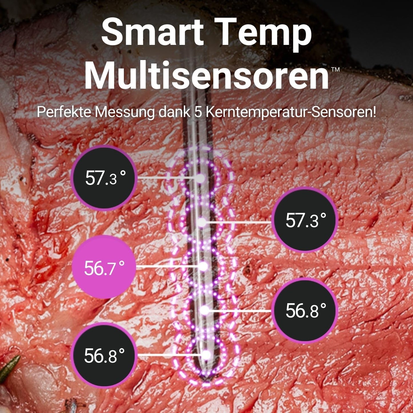 MEATER Pro Fleischthermometer