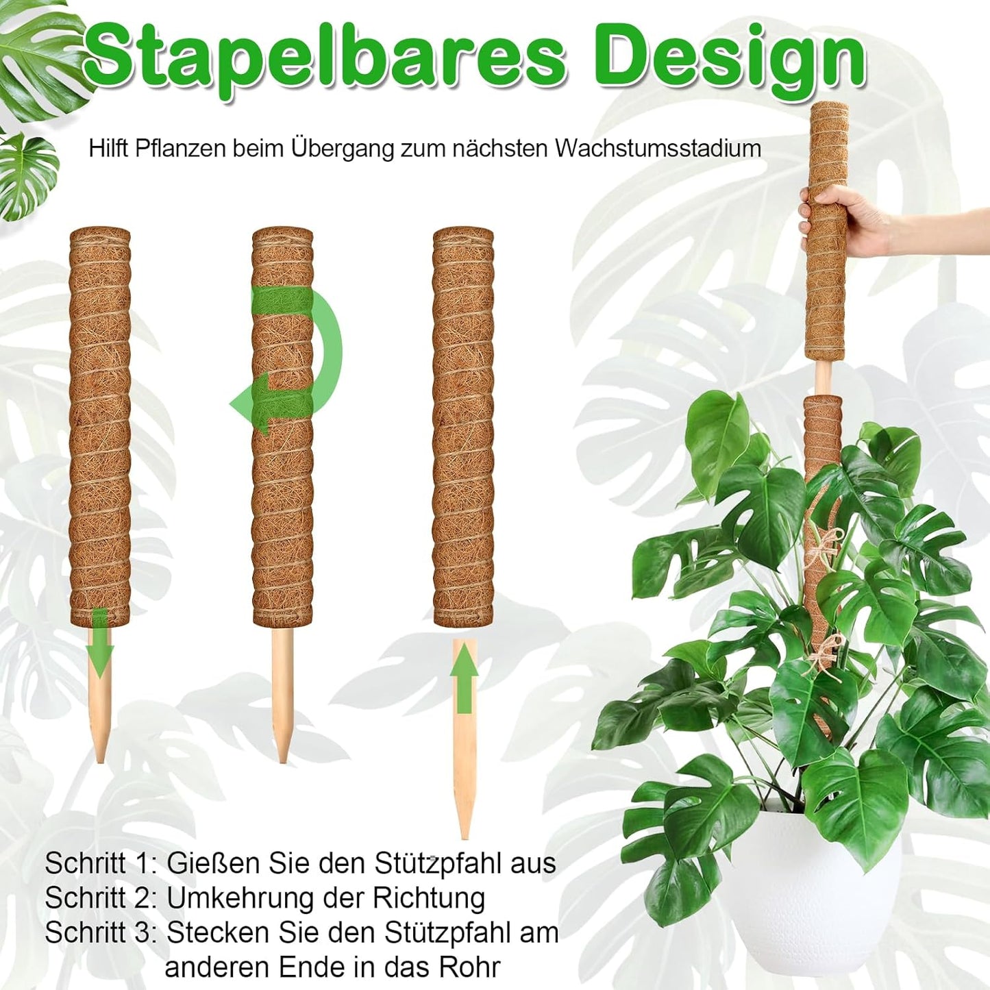 27-teiliges Pflanzenstab-Set
