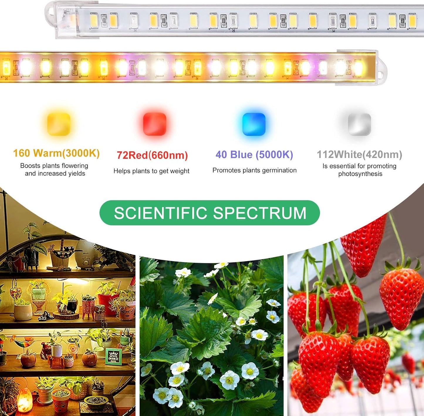 8er-Set LED-Pflanzenwachstumslichtstreifen mit Timer