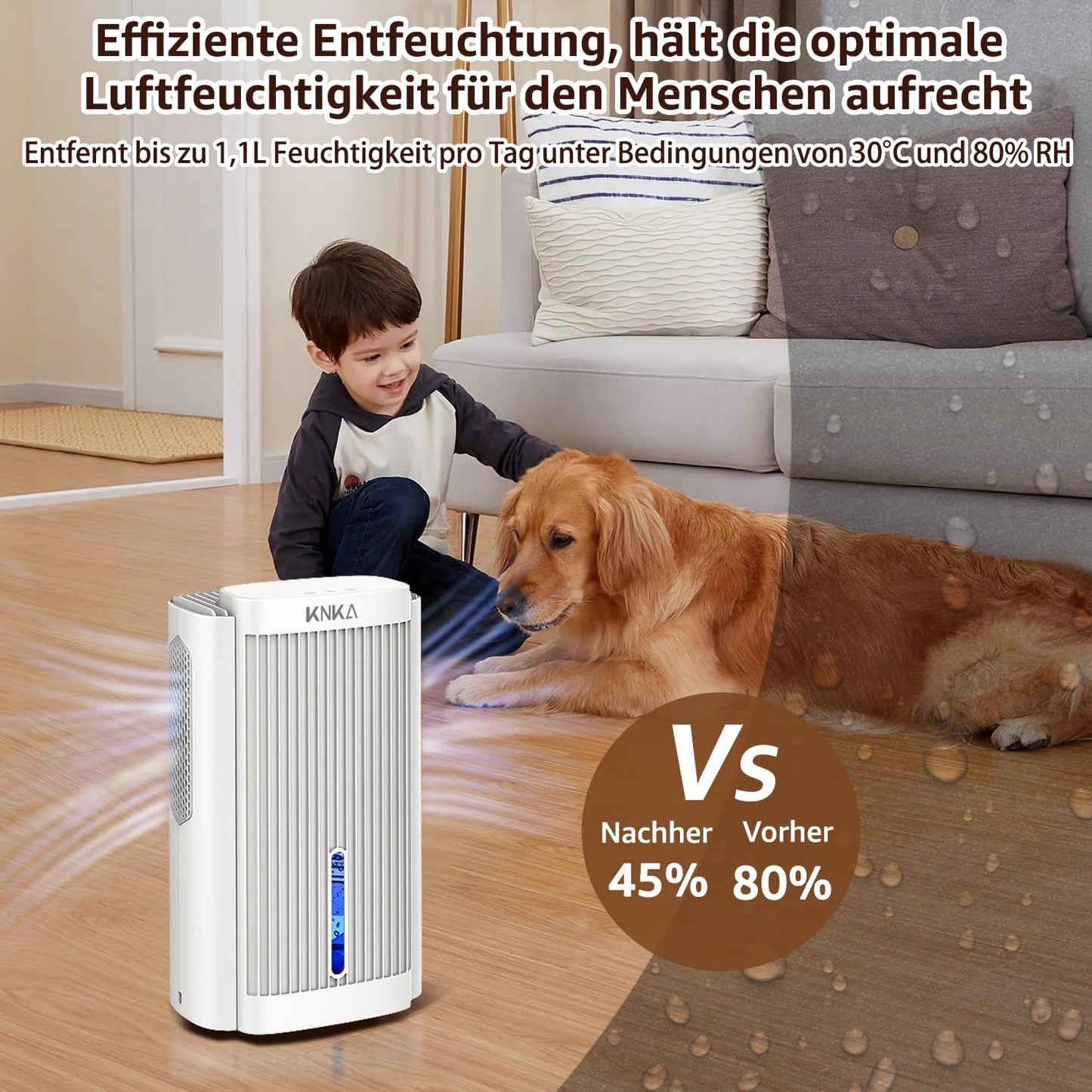 Luftentfeuchter, Weiss