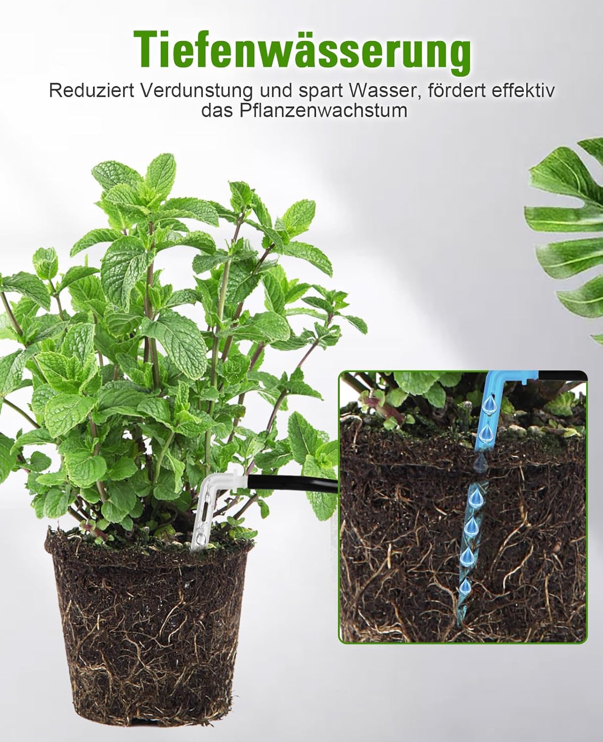 Automatische Indoor-Bewässerung für 11 Pflanzen