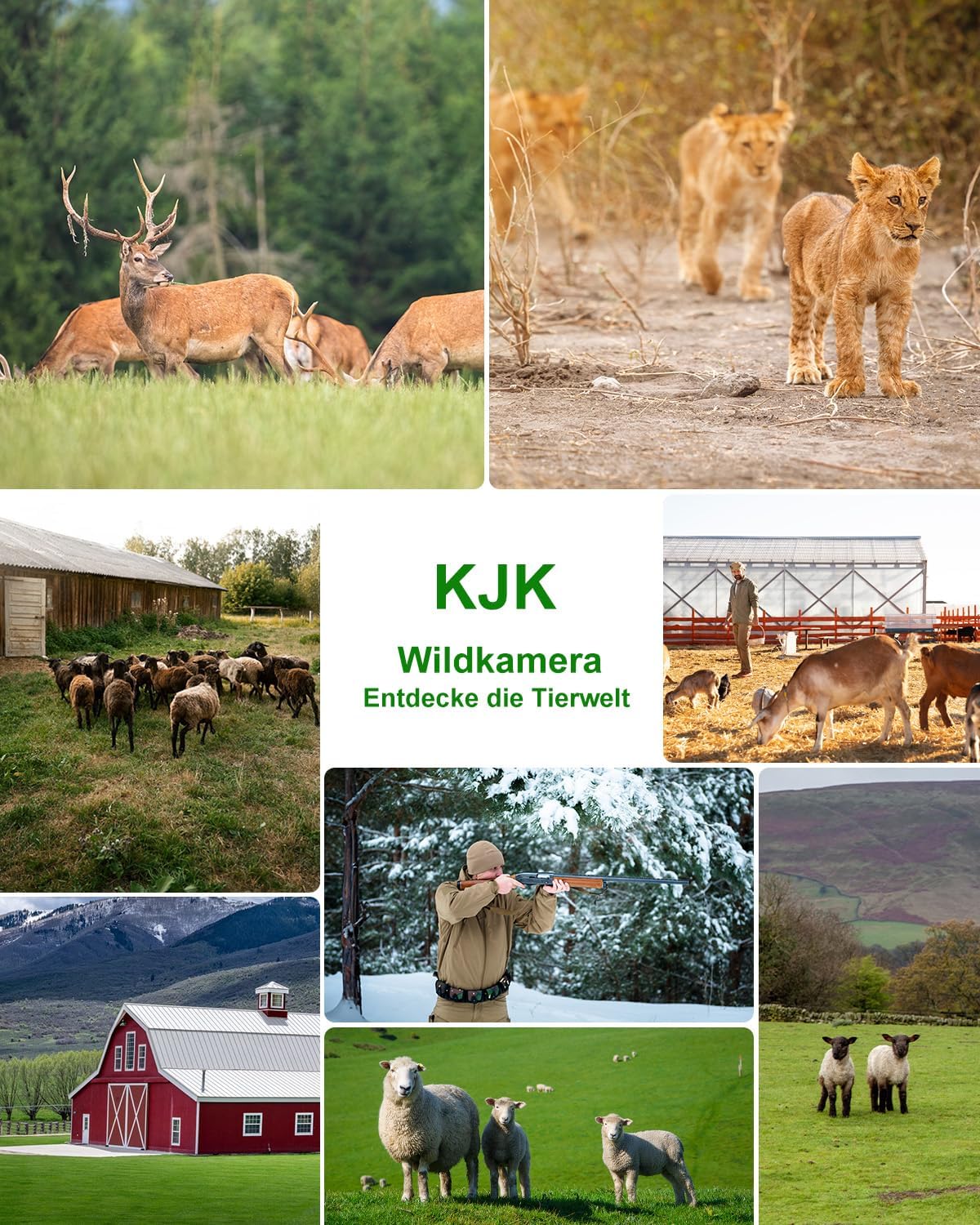 Wildkamera mit WLAN, 4K, Nachtsicht, IP67, 130° Winkel