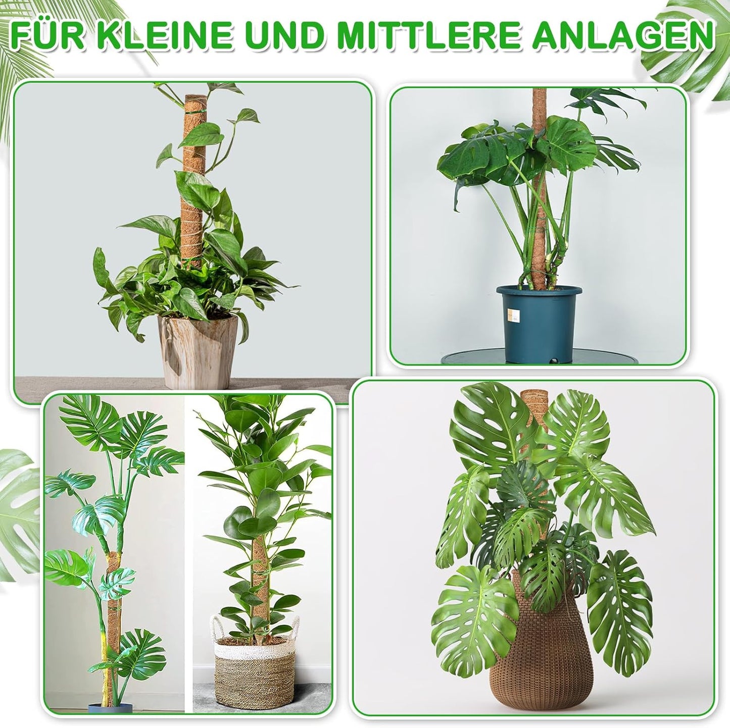 27-teiliges Pflanzenstab-Set