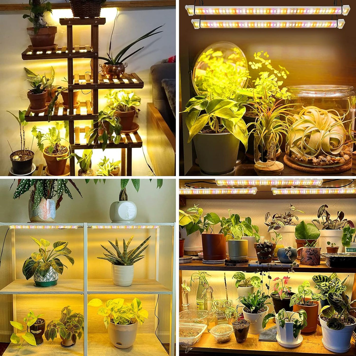 8er-Set LED-Pflanzenwachstumslichtstreifen mit Timer