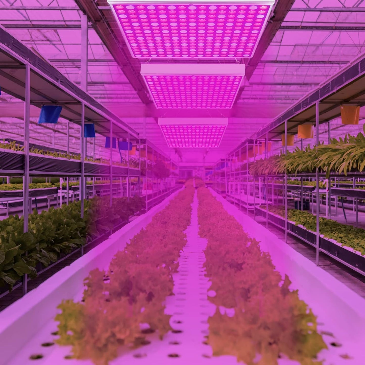 LED Grow Lampe, 2x, 15W