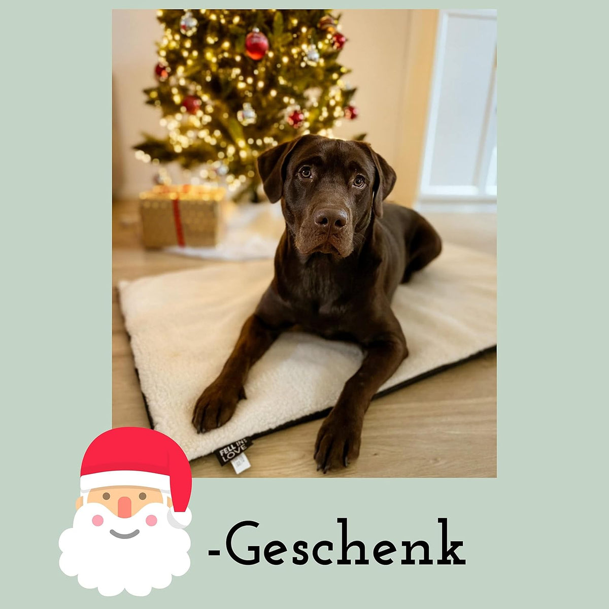 Selbstheizende Katzendecke, L 60 x B 40 x H 3 cm Beige