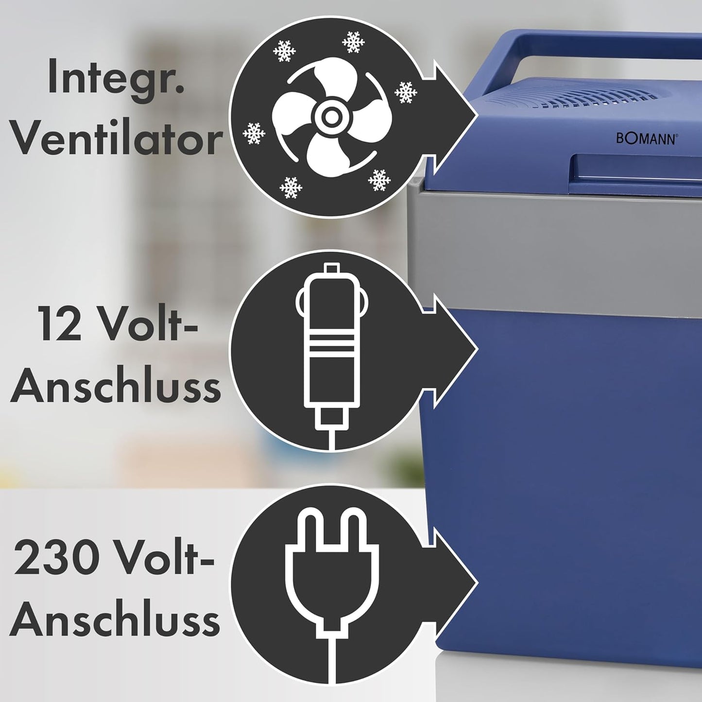 Auto-Kühlbox (12V/230V), 28 Liter