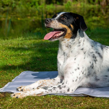 Selbstkühlende Hundematte mit Pfotenmuster, Grau