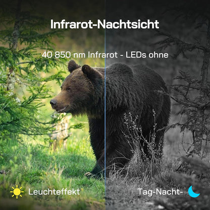 Wildkamera 4K mit Nachtsicht und Bewegungssensor