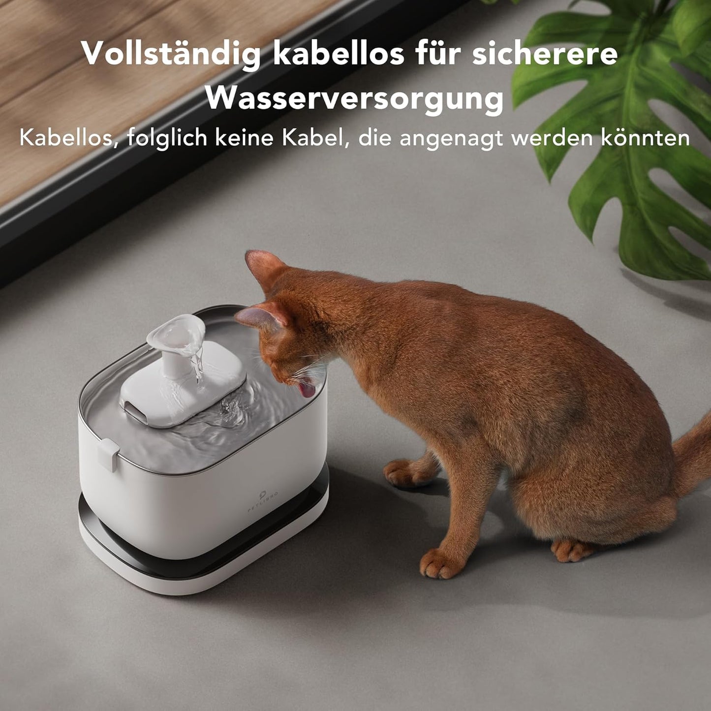 Katzenbrunnenfilter