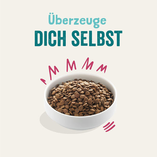 Hundefutter trocken