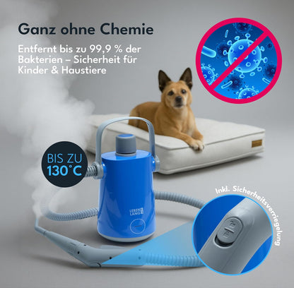 Handdampfreiniger