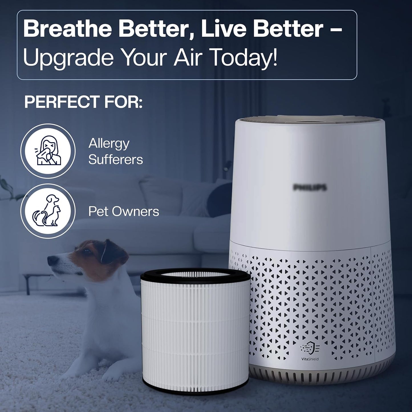 Filter-Set für Philips Luftreiniger AC0820/AC0819, FY0194