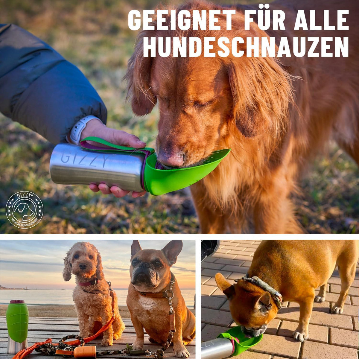 Trinkflasche für Hunde für unterwegs, Apfelgrün 800 ml