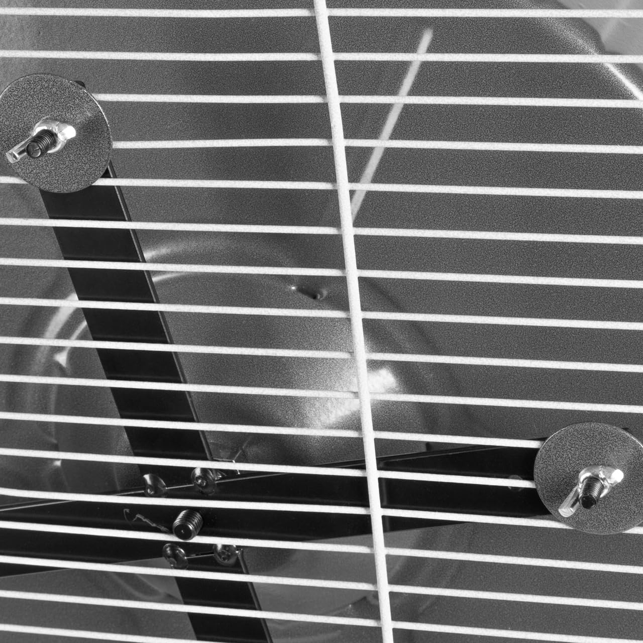 Laufrad für Degus und Chinchillas