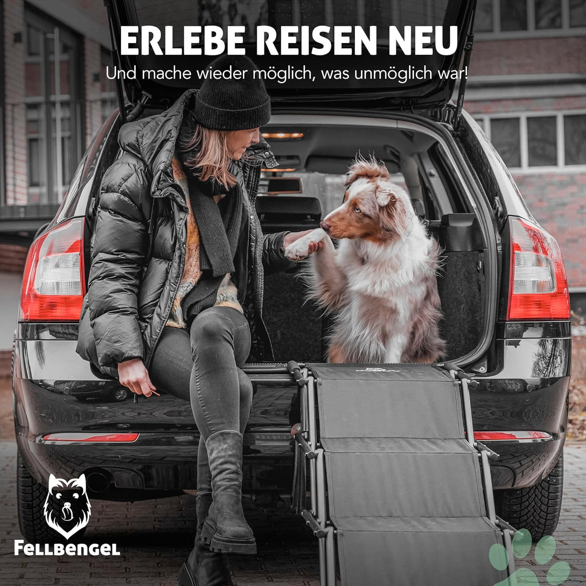 Klappbare Hundetreppe, 4 Stufen Schwarz