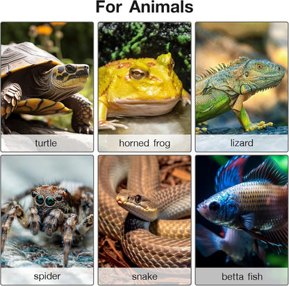 Heizmatte mit Thermostat, 25x52cm - 1er Pack