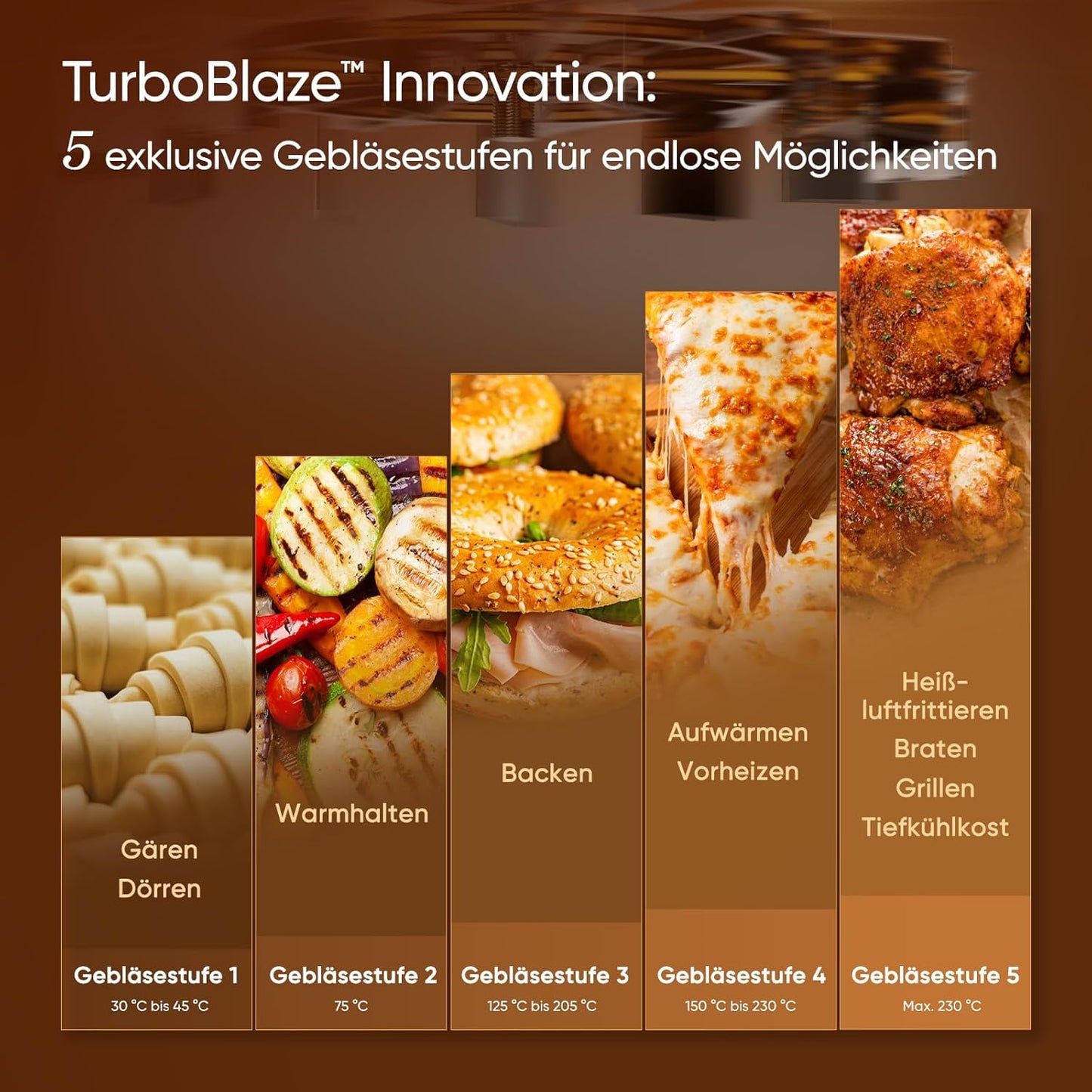 Turboblaze Airfryer