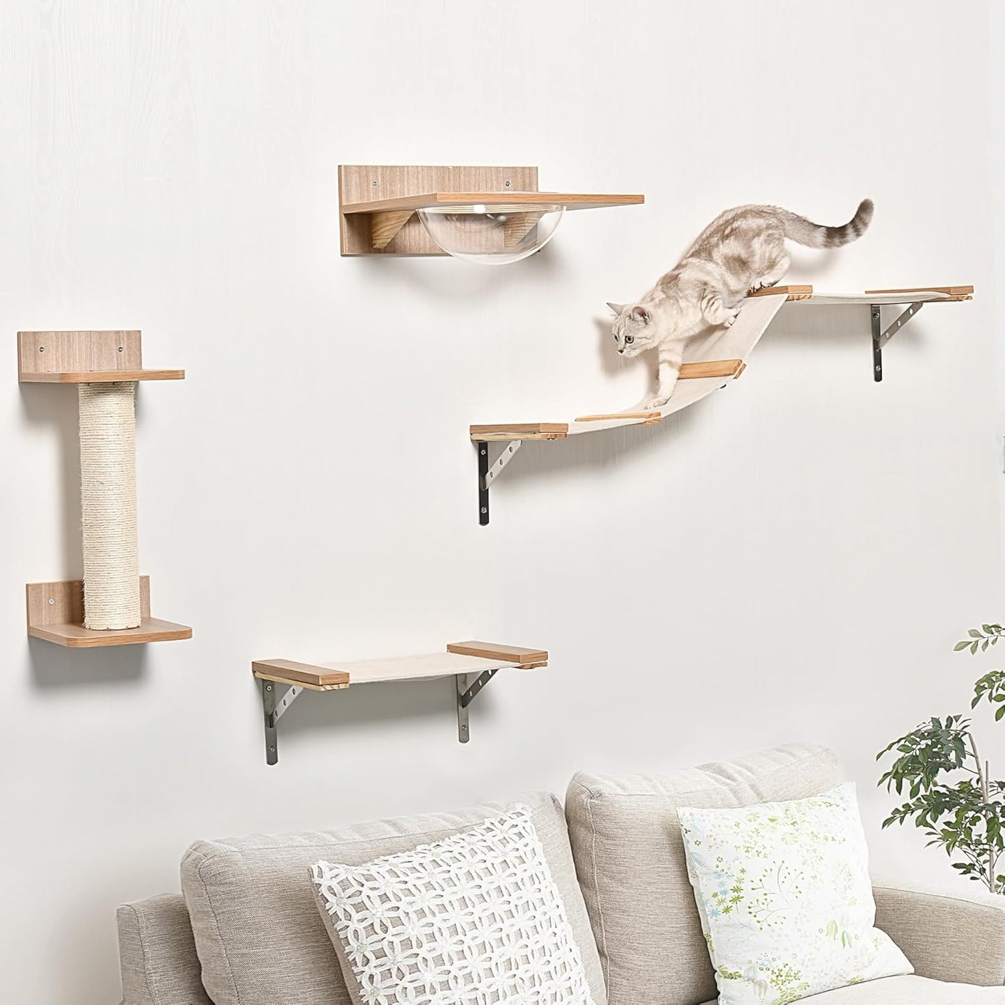Katzenkletterwand-Set