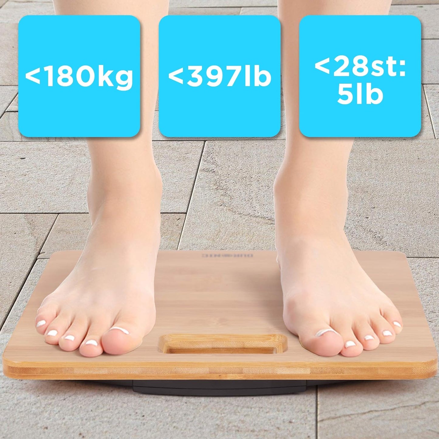 BS503