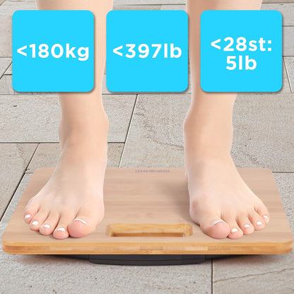 BS503