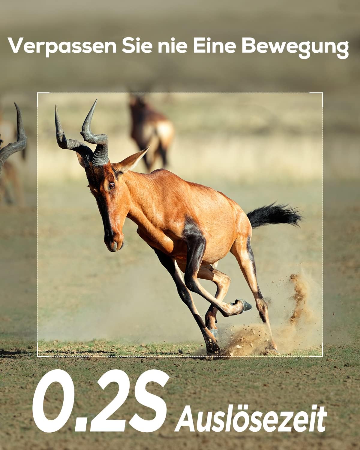 iG200 Wildkamera mit Bewegungsmelder und Nachtsicht, Camouflage