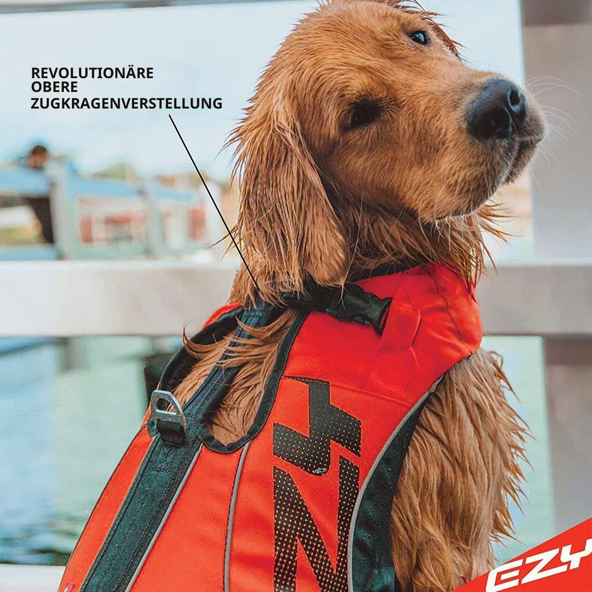 Schwimmweste für Hunde DFD X2 Boost, Rosa L
