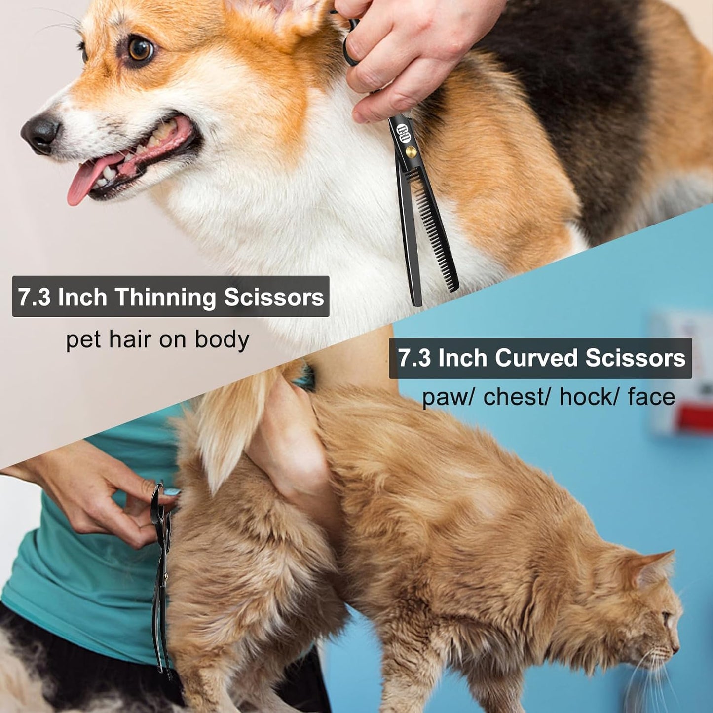 10-teiliges Fellpflegeset, Schwarz Fellschere Hunde / 10-In-1 Schwarz Hundeschere