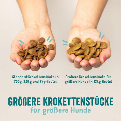 Hundefutter trocken
