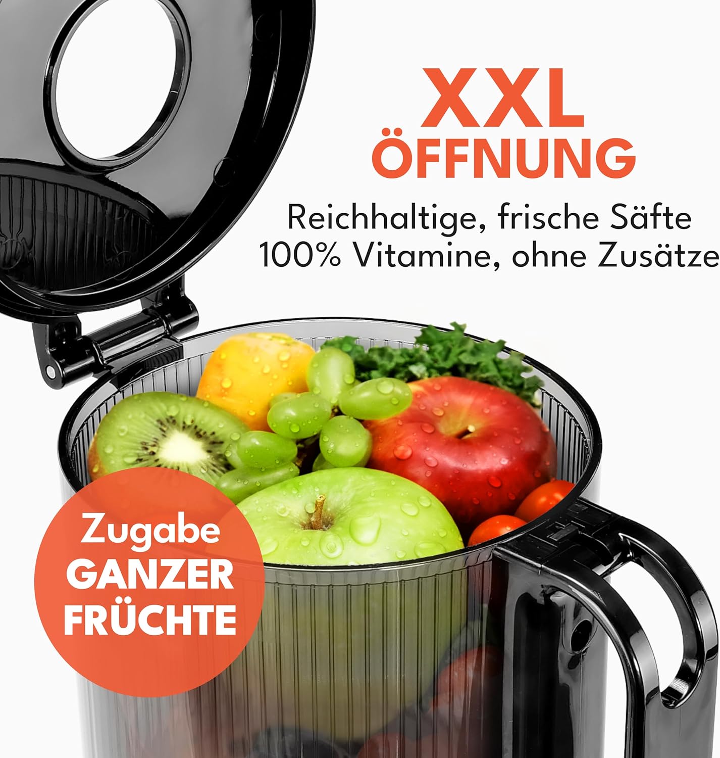 Slow Juicer mit zwei Saftbechern
