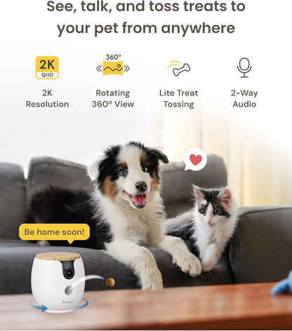 Mini 360 Pet Kamera mit Leckerliausgabe & App-Steuerung, Mini 360 Kamera - Abo optional