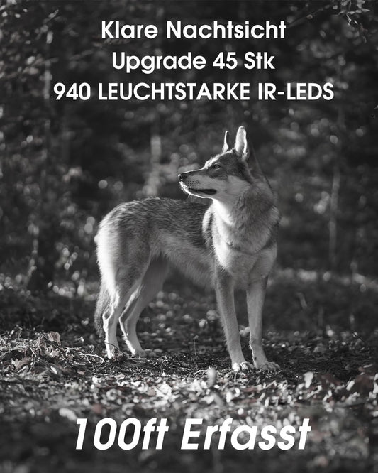 Wildkamera mit WLAN, 4K, Nachtsicht, IP67, 130° Winkel