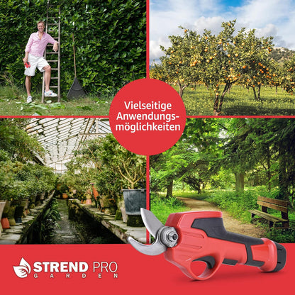 Elektrische Astschere, Ohne Teleskopgriff